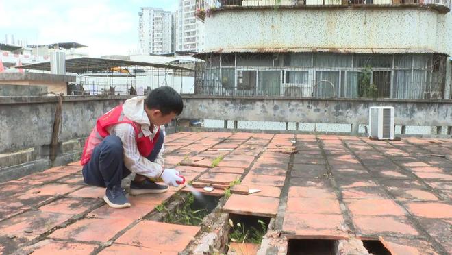 “迷彩防线”筑牢防疫墙！龙川退役军人志愿服务队一线消杀防蚊守护健康