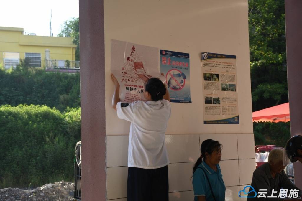 筑牢防疫屏障 来凤县革勒车镇开展基孔肯雅热防控知识宣传