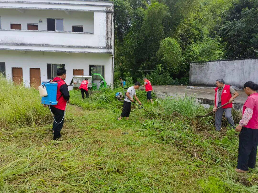 铺门镇：聚全民之力破“蚊”题答好基层卫生治理答卷